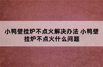 小鸭壁挂炉不点火解决办法 小鸭壁挂炉不点火什么问题